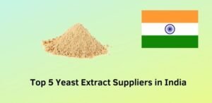 Top 5 Yeast Extract Suppliers in India