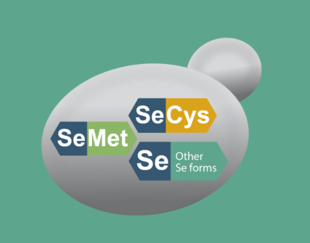 Selenium-enriched Yeast