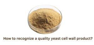 How to recognize a quality yeast cell wall product